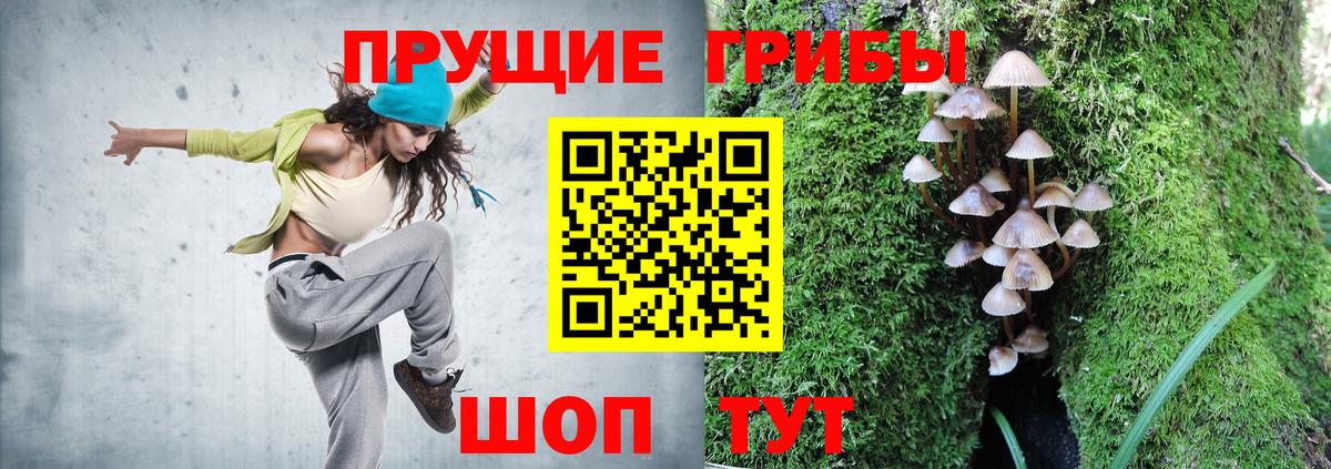 Миллерово  Галлюциногенные грибы GOLDEN TEACHER  Вход с VPN 