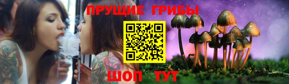 Псилоцибиновые грибы Cubensis Миллерово